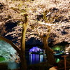 千鳥ヶ淵　５