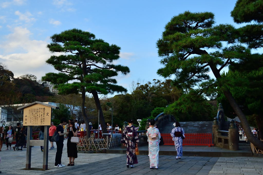 鶴岡八幡宮　終