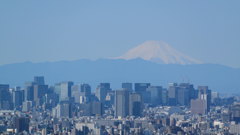 秋晴れ富士山