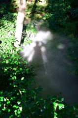 椿山荘　ほたる沢