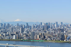 今日の富士山