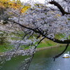 千鳥ヶ淵　１