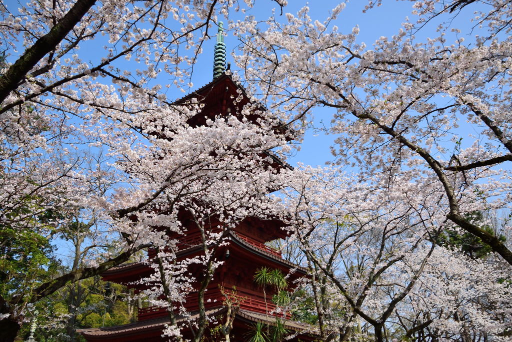 中山法華経寺五重塔