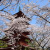 中山法華経寺五重塔