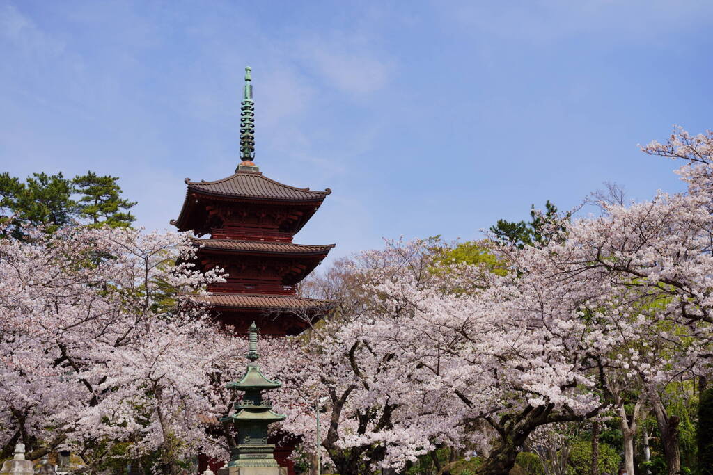 中山法華経寺　五重塔