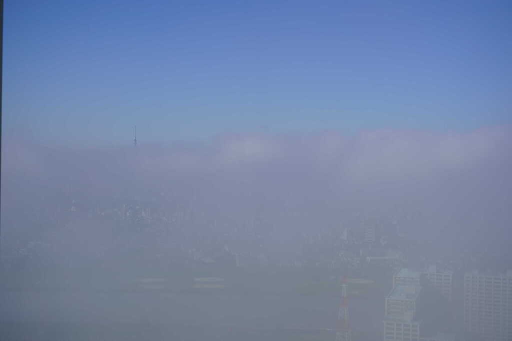 今日の濃霧