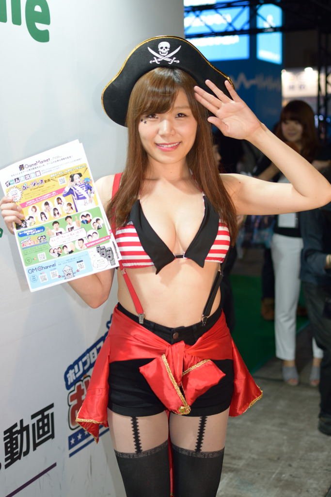 TGS2016　GAME MARKET