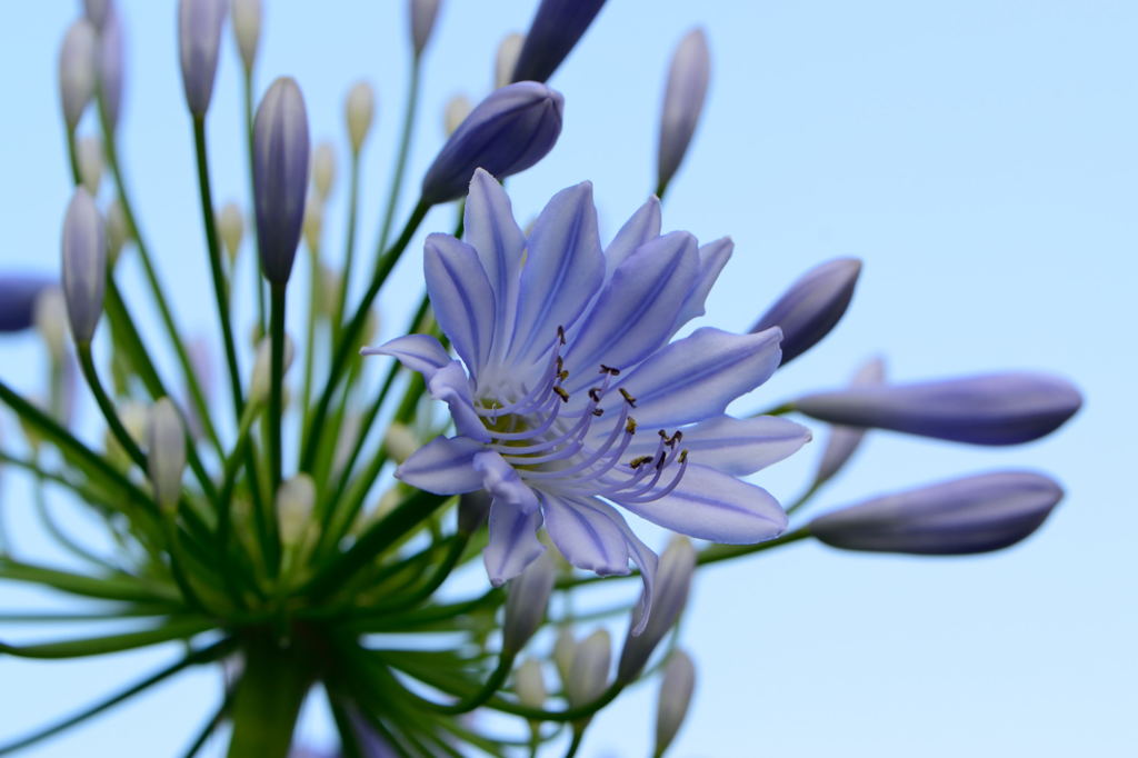 ＡＧＰ１６　空