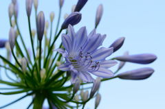 ＡＧＰ１６　空