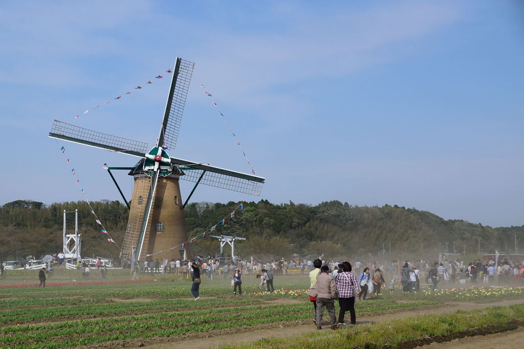 砂埃