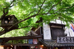 鬼太郎茶屋