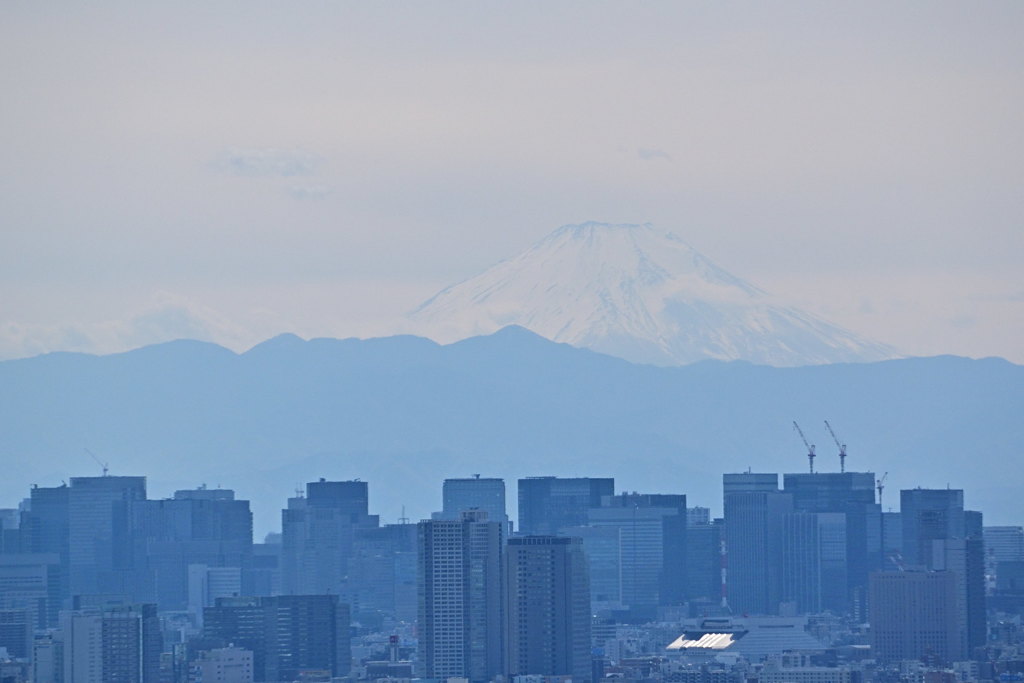 今日の富士山　20190428