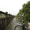 雨路も、たのしい