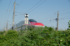 こまち
