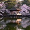 朝日を纏う