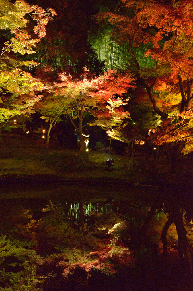 高台寺の紅葉