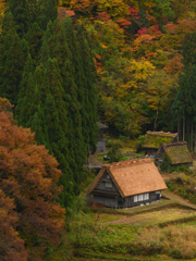 晩秋の山里