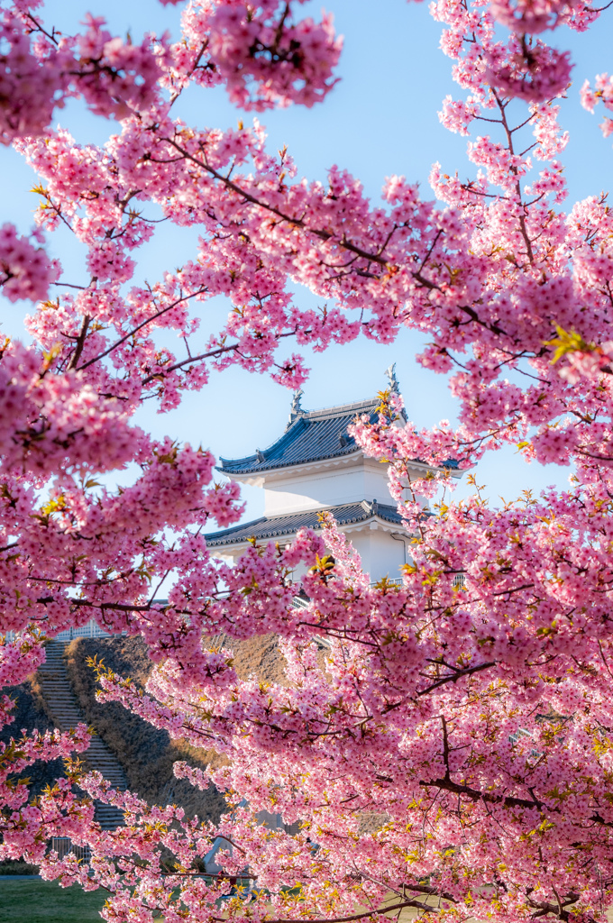 宇都宮城址公園