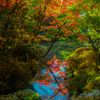 日光