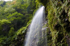 阿弥陀ヶ滝④