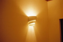 試し撮り②予想以上の良品かも