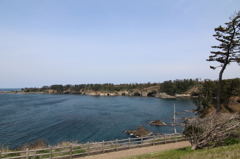 東尋坊へいってきました