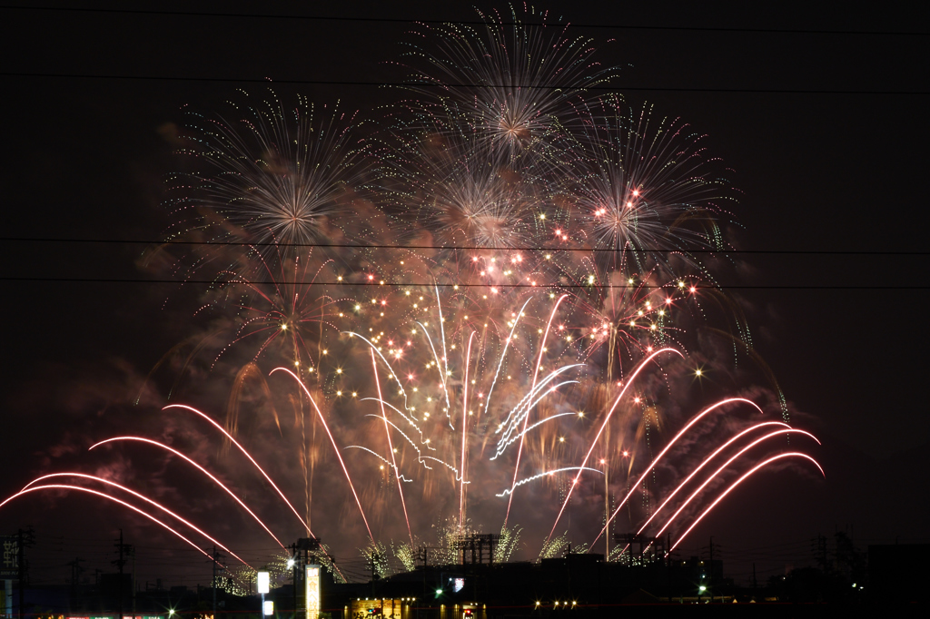 2015/08/01 長良川 ②