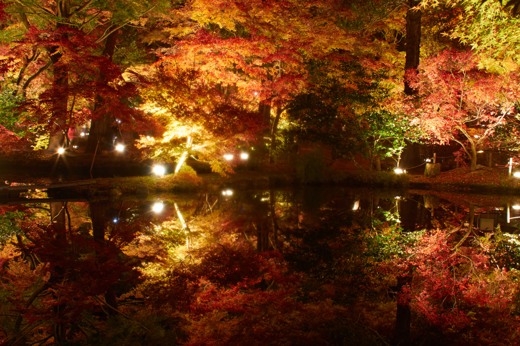 曽木公園紅葉