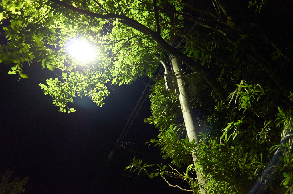 実験的撮影 ISO3200