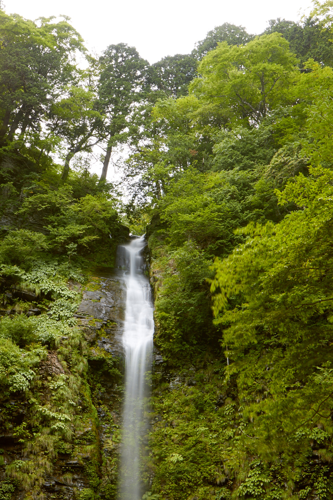 阿弥陀ヶ滝②