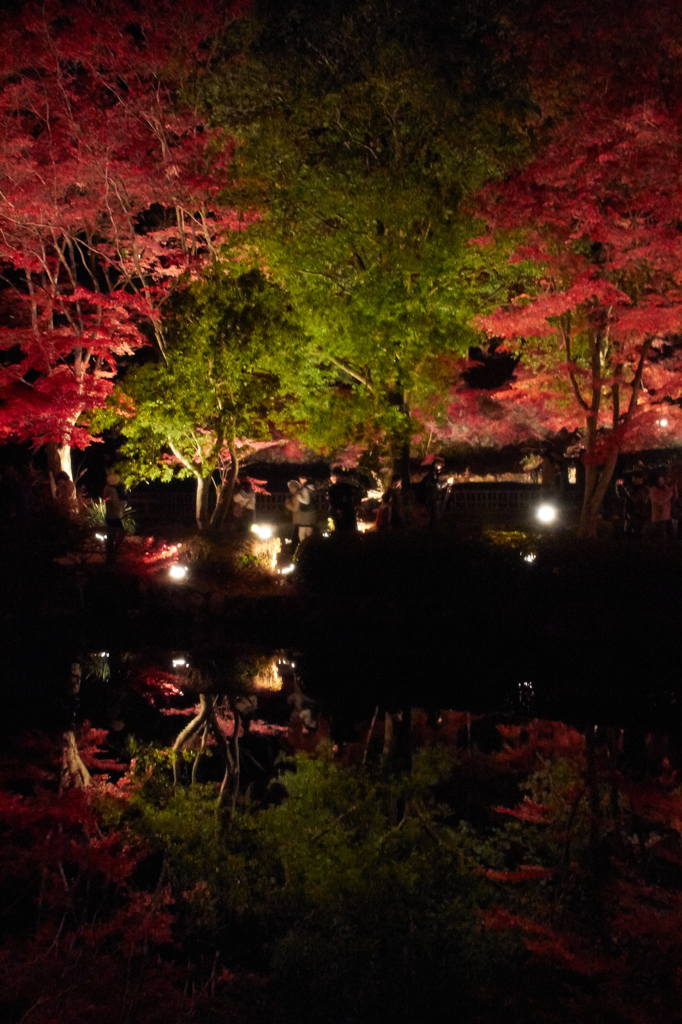 苦渋のISO6400