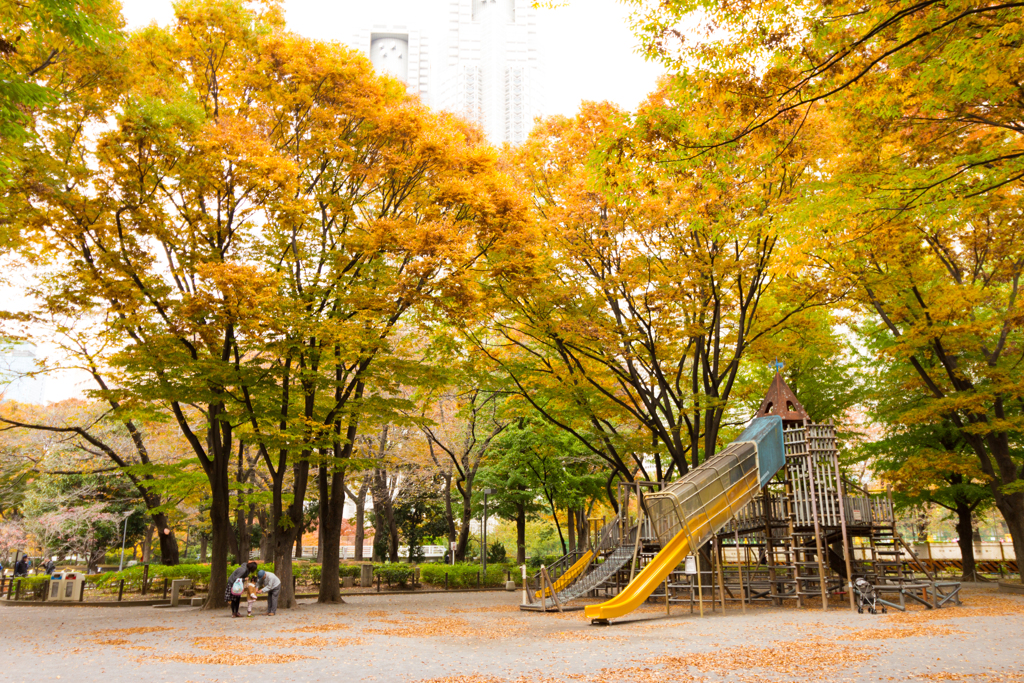 新宿中央公園