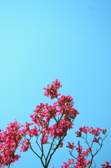空に向けて