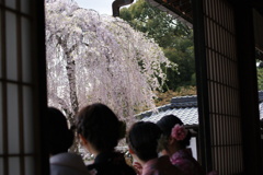 京都　高台寺