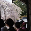 京都　高台寺