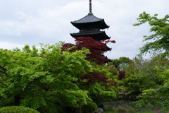 東寺　五重塔