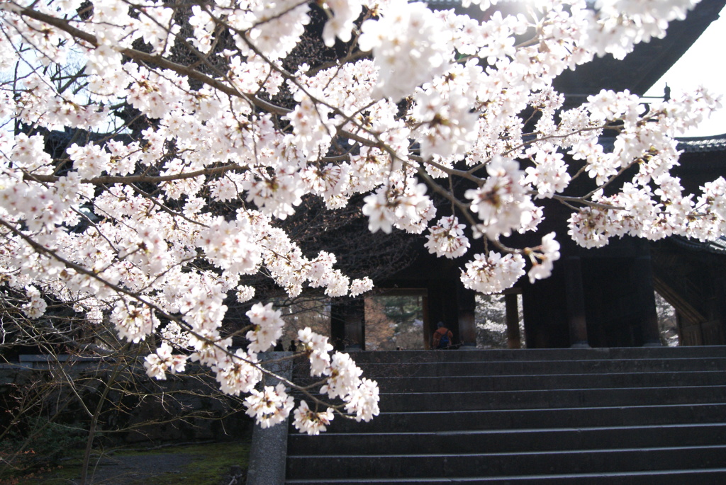南禅寺　三門