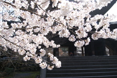 南禅寺　三門