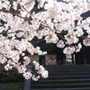 南禅寺　三門