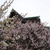 京都　北野天満宮