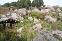 善峯寺
