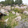 善峯寺