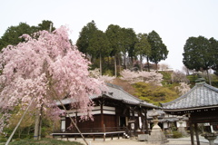 善峯寺