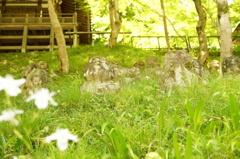 愛宕寺　羅漢