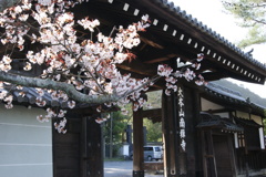 京都　南禅寺