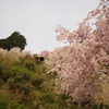 善峯寺