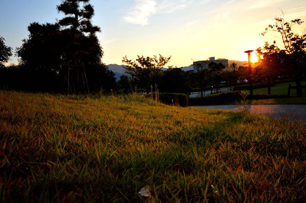 夕暮れ