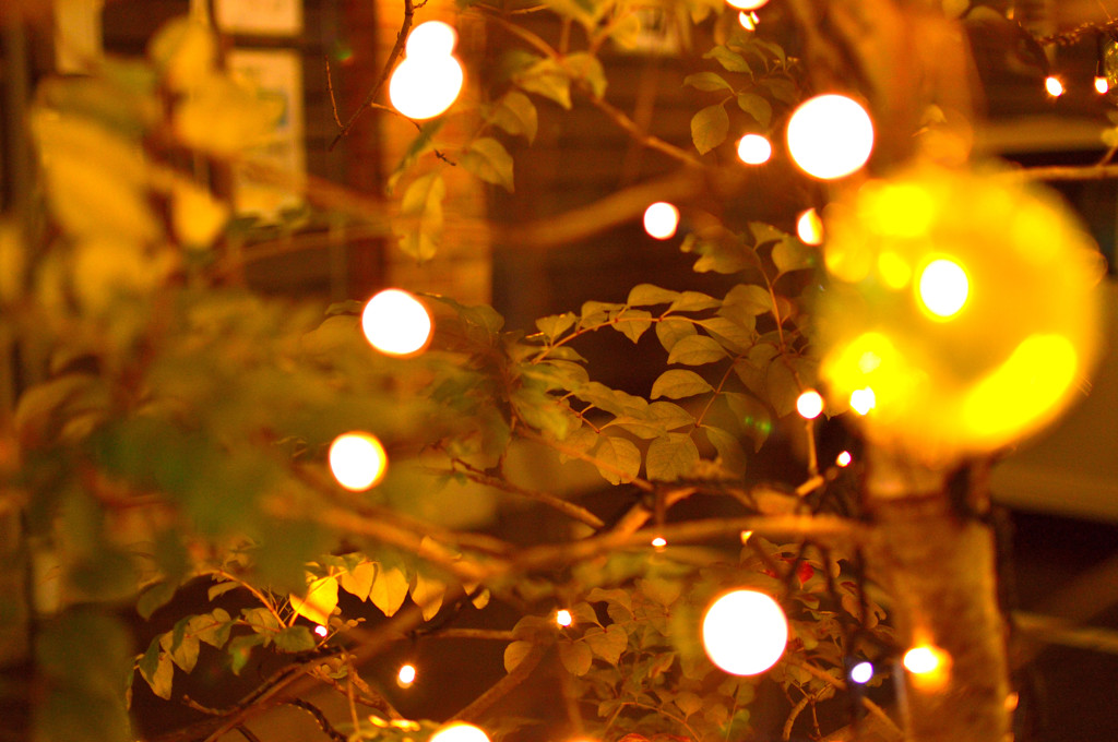 in light