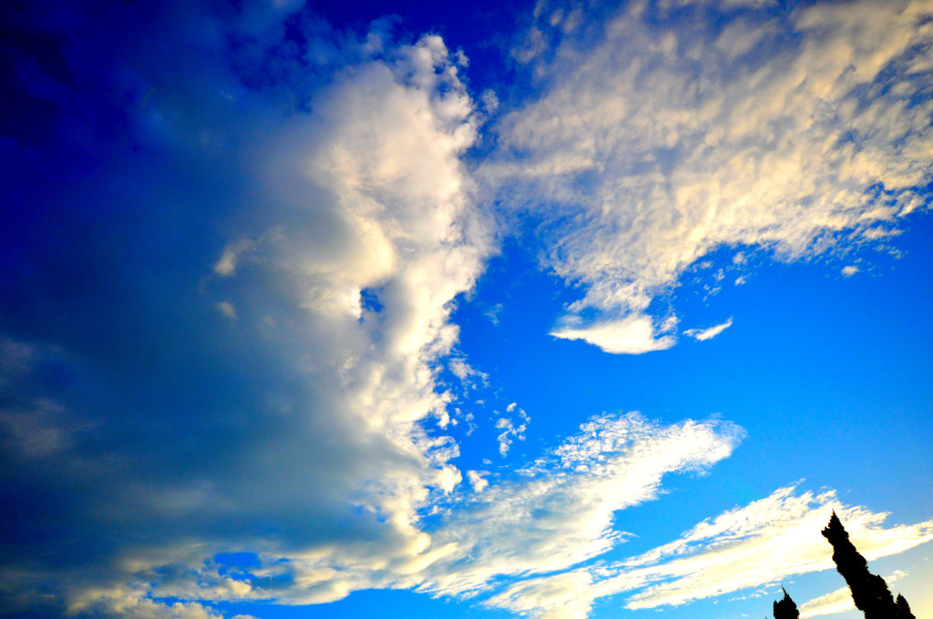 夏の空