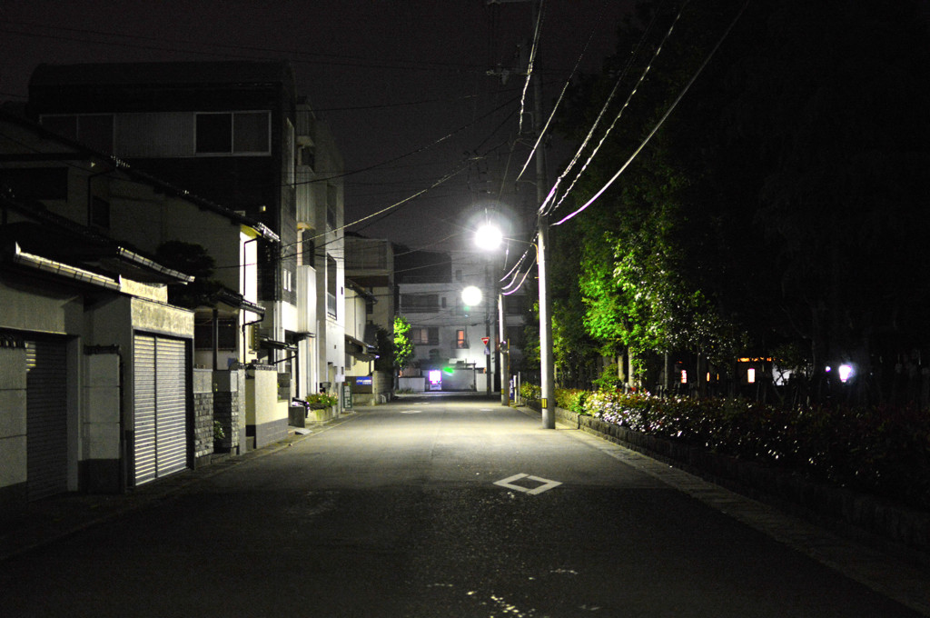 夜道の散歩
